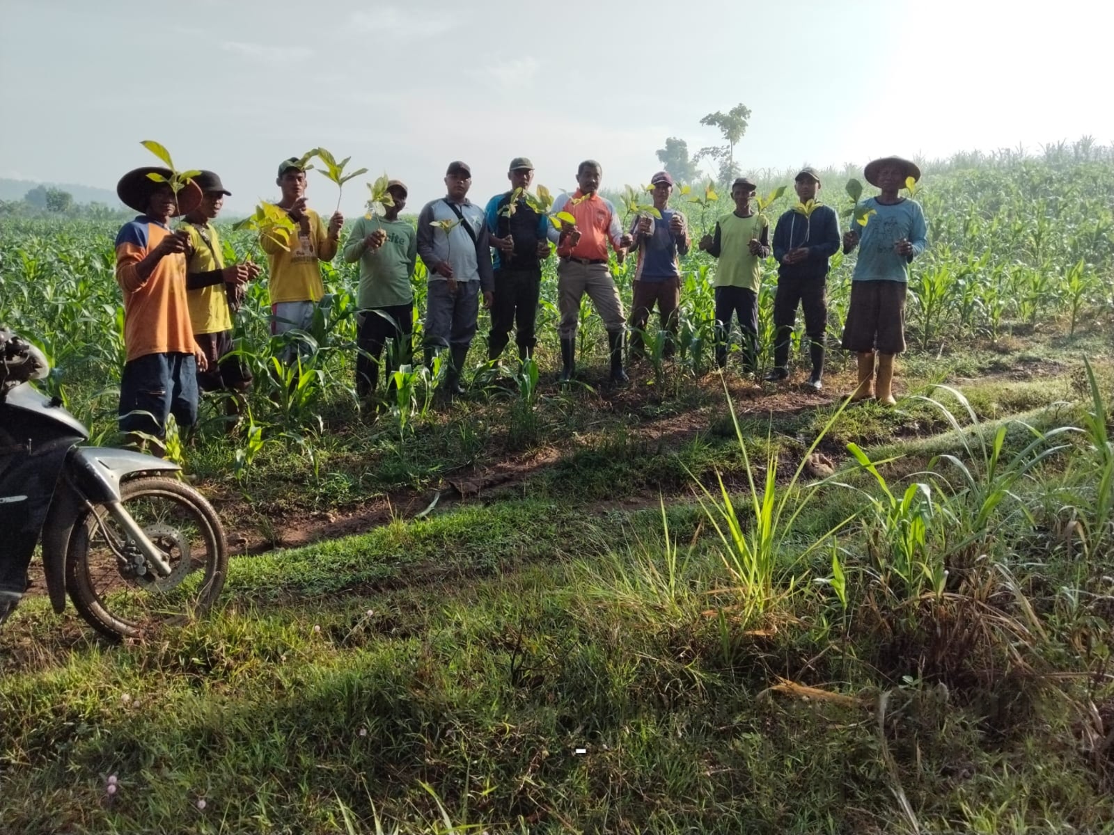 wmremove-transformed12