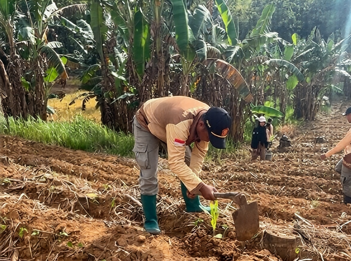 96ca0beb-1b9a-4f9c-aa4e-fdc949048c98_0