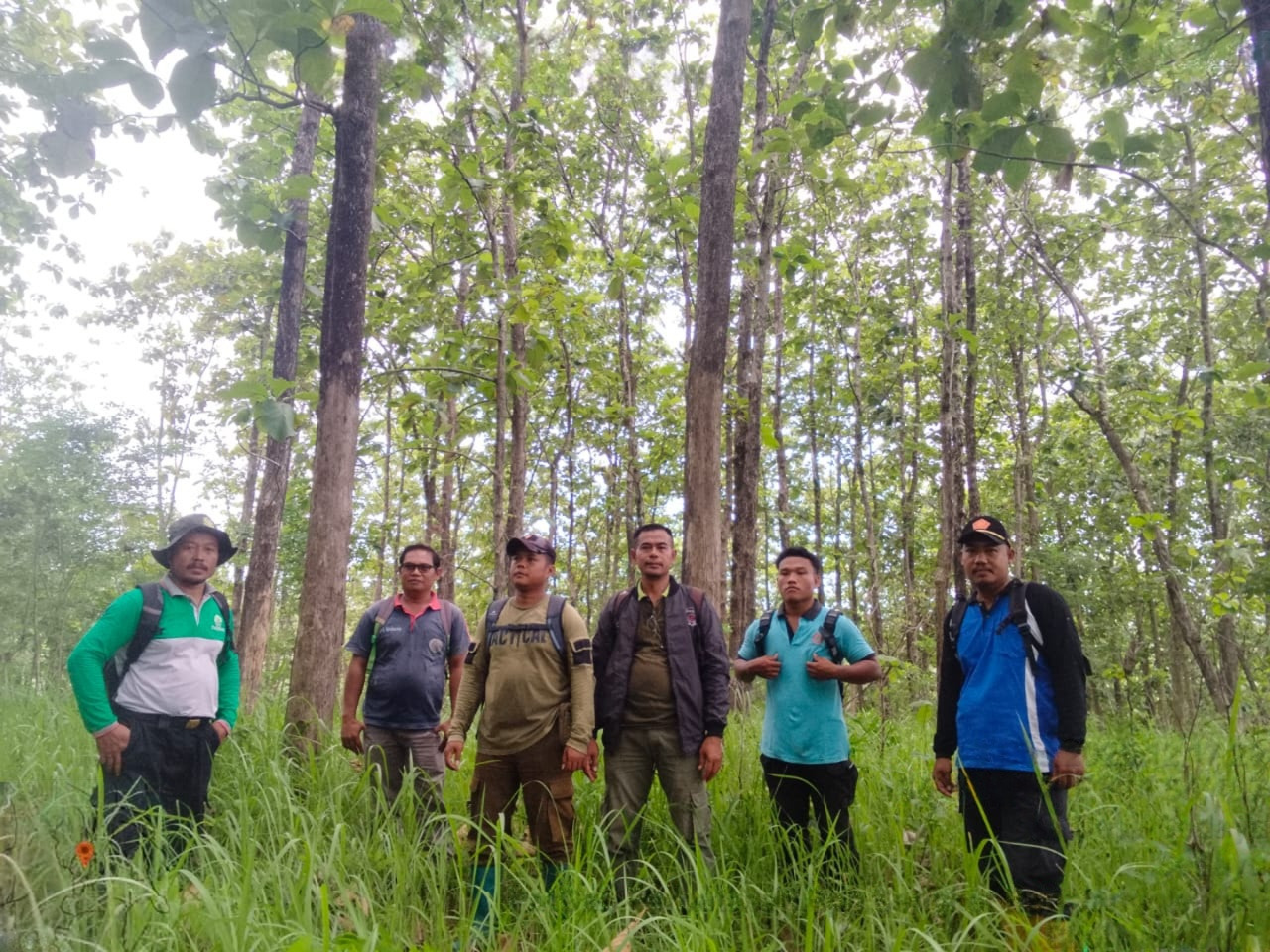 wmremove-transformed61