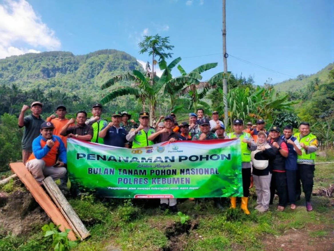 zsep9qw42srmy0cv9wjseegrc0-1